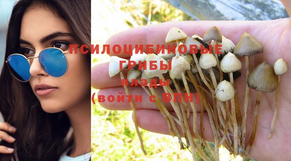 mdma Вязьма