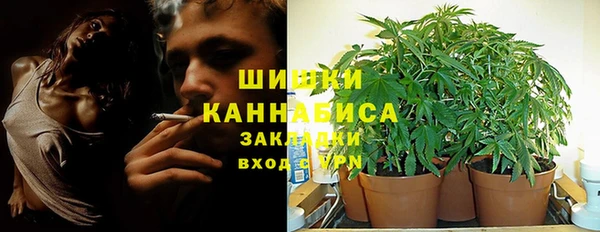 первитин Вяземский