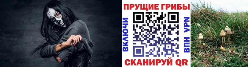 Галлюциногенные грибы ЛСД  Набережные Челны 